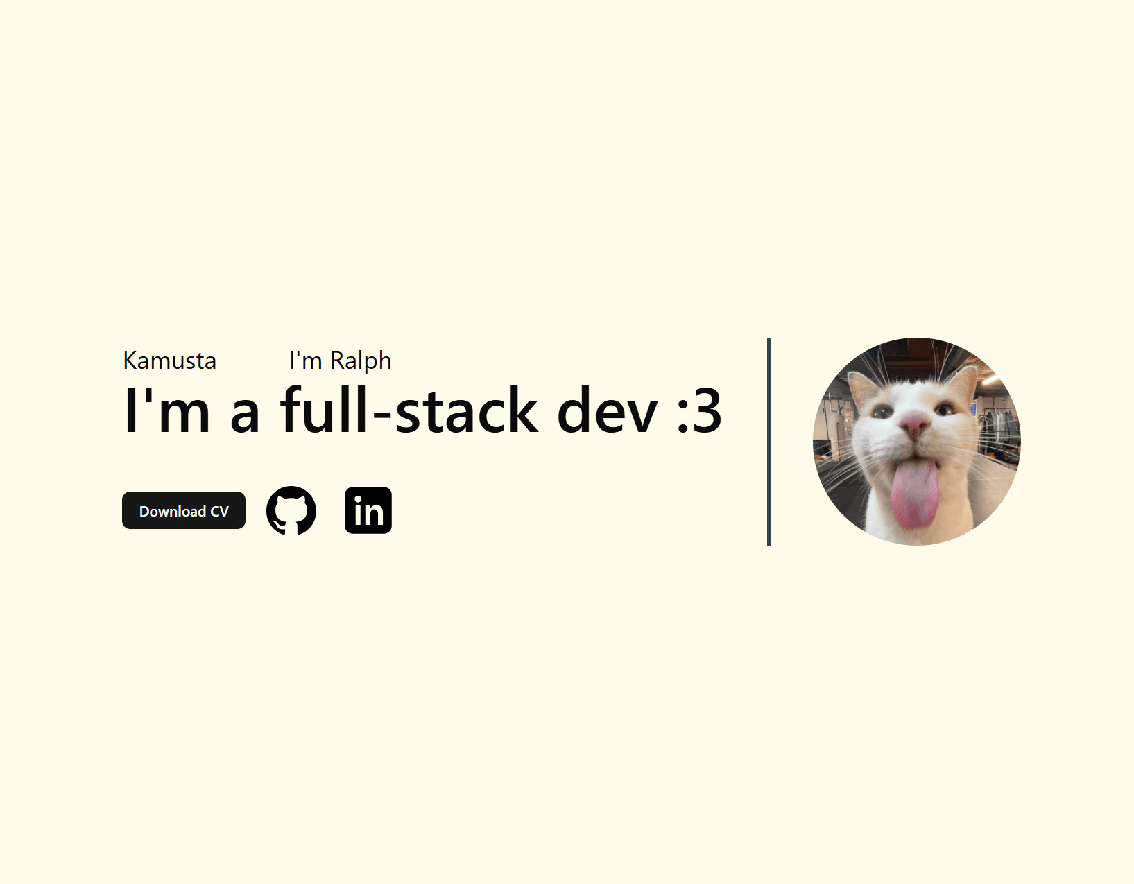 project-photo-Portfolio Website v1
